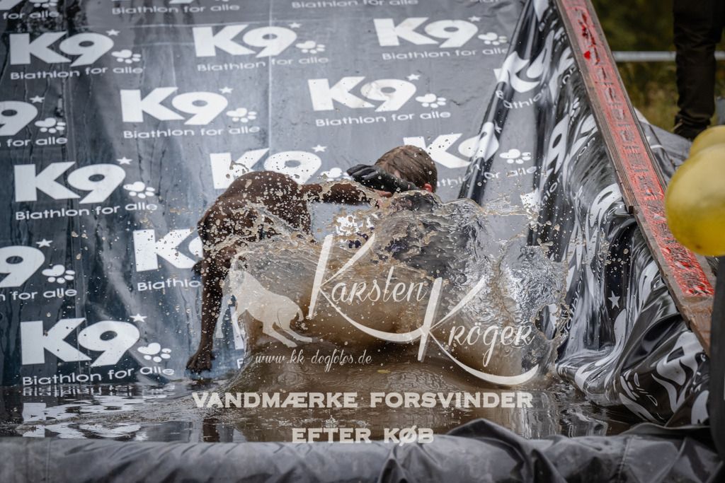 1218_ZZ94865 | kk-dogfotos