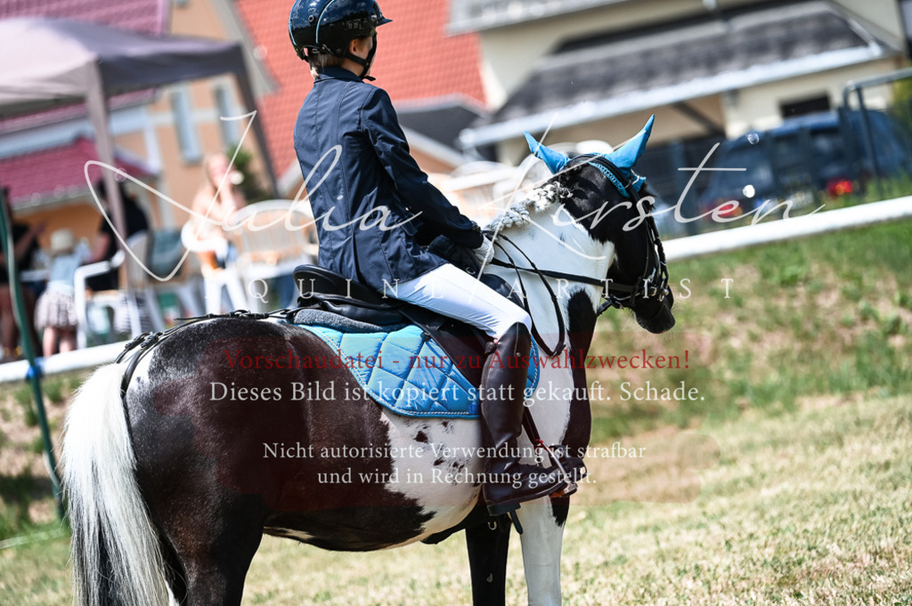 DSC_9728 | Pferde- und Turnierfotografie in Westsachsen. Pferdeportraits, Auftragszeichnungen und intuitive Kunst.