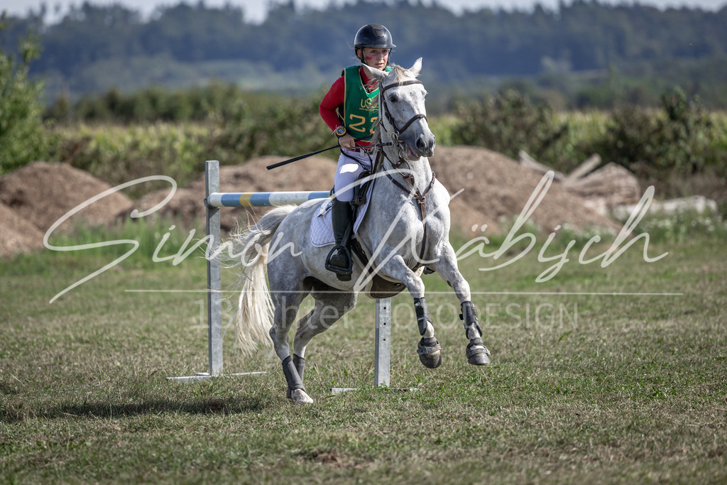 20250907-_3LI2355 | Tierfotografie Pferde, Hunde, Katzen, Haustiere.
Turnierfotografie Reitturniere, Reiten, Springreiten, Dressur in Hanau, dem Main-Kinzig-Kreis und dem Rhein-Main- Gebiet um Frankfurt