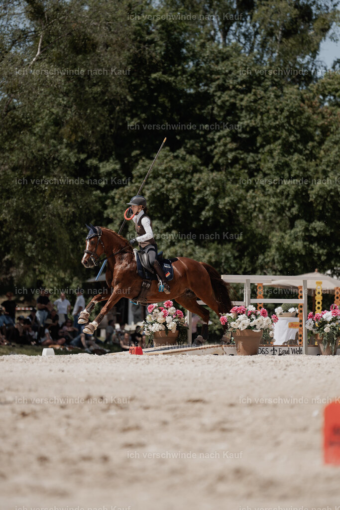 WE_SP_Stoib_342_PI2025_1822 | Pferd International München 2025