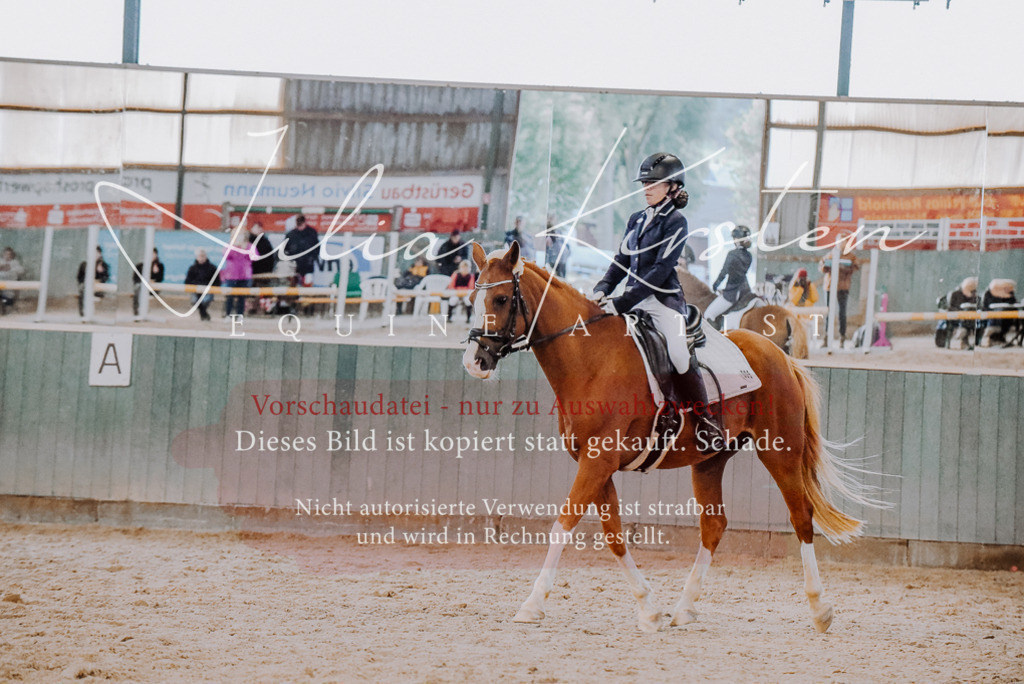 DSC_7679 | Pferde- und Turnierfotografie in Westsachsen. Pferdeportraits, Auftragszeichnungen und intuitive Kunst.