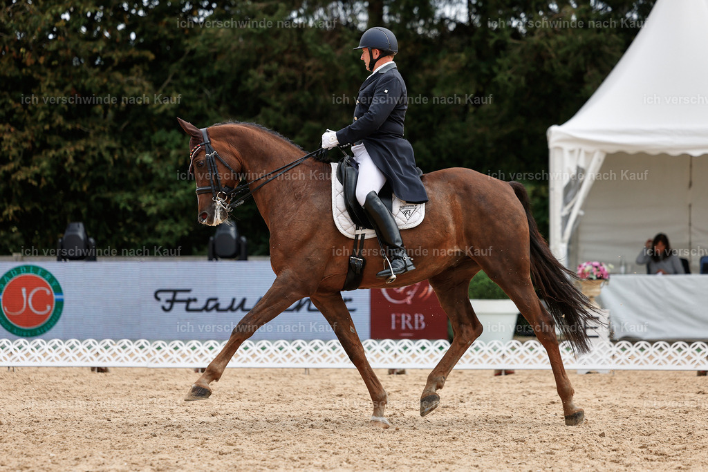 11-092-Dressur S___-StoibPH-1304 | working equitationturnier fotograf videograf stoibphotography marixx film working equitation deutschland reitsport turnierfotografie eventfotografie equestrian events