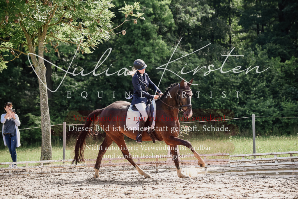 DSC_0124 | Pferde- und Turnierfotografie in Westsachsen. Pferdeportraits, Auftragszeichnungen und intuitive Kunst.