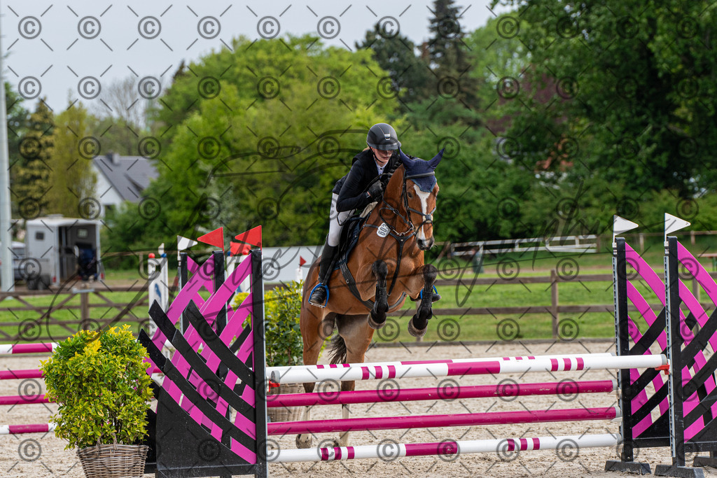 KPT_7775 | andre_photographic