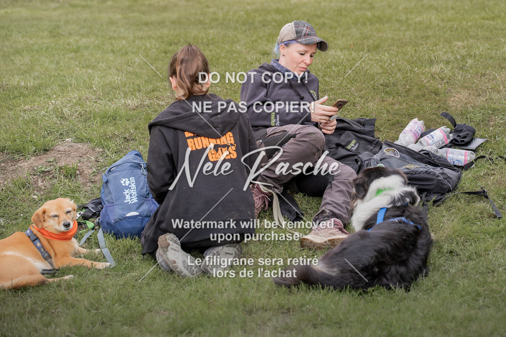 NR__0961 | nelerasche