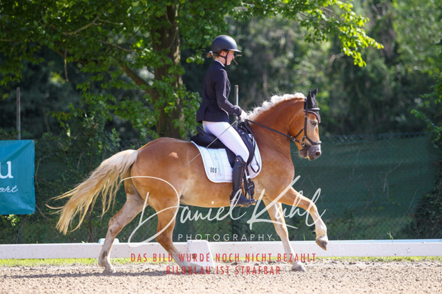 DKP42800 | Turniersportfotografie; Pferdefotografie; Dressurfotografie