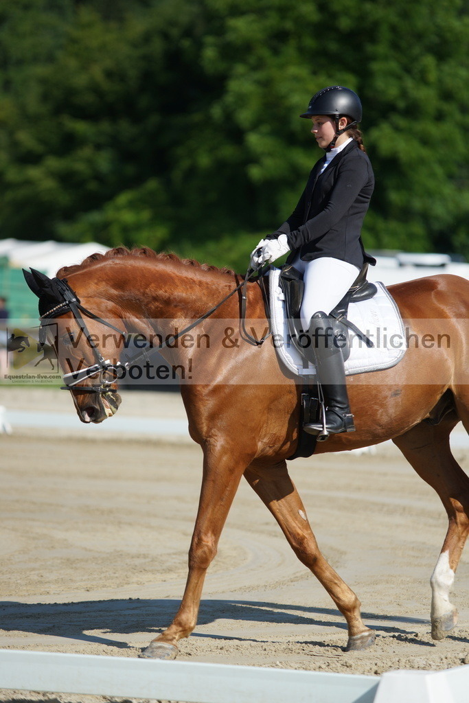 DSC03924 | equestrian-live-com