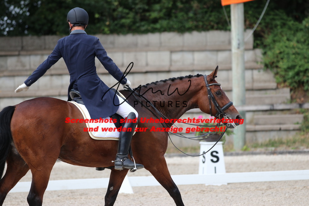 IMG_6737 | lmwpictures - Realisiert mit Pictrs.com