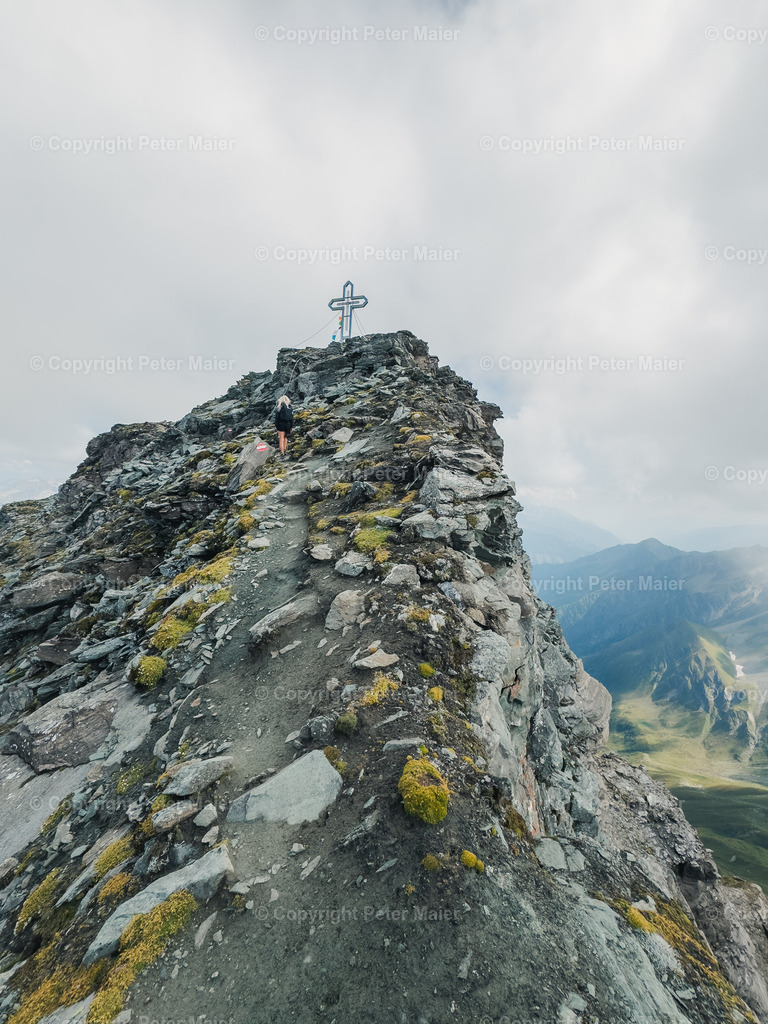 Vorderer_Geißelkopf-46 | piet_flosse