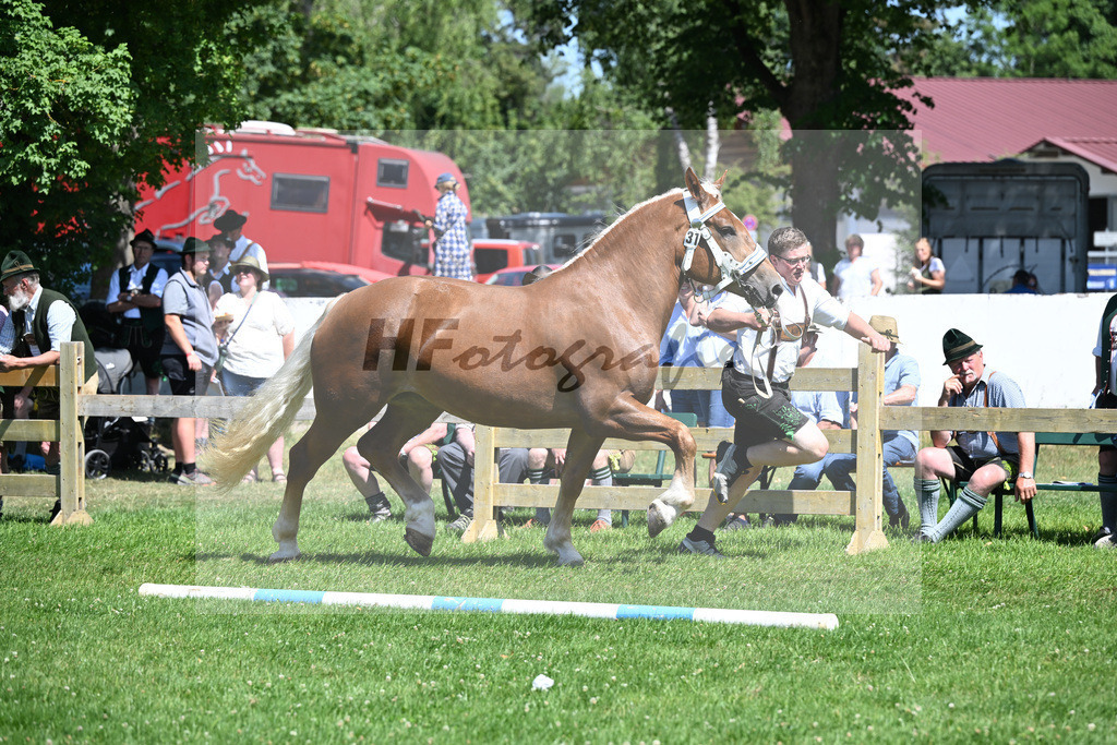 Kat-Nr. 31 Prestige v. Rusty_Holzer_18250598 | hf-fotografie - Realizzato con Pictrs.com