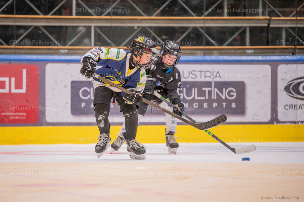 DSC_0577 | "Fussifoto.com – Ihr Ansprechpartner für hochwertige Fotografie! Entdecken Sie kreative Bilder und professionelle Dienstleistungen. Kontaktieren Sie uns für Ihre Projekte!"