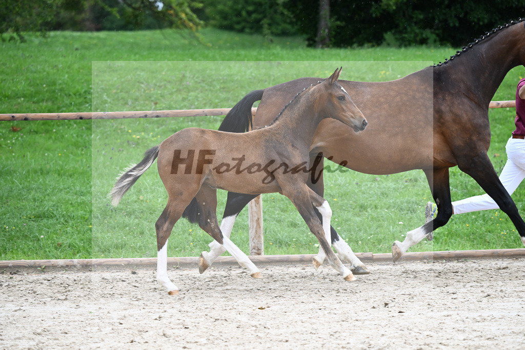 Kat-Nr. 25 SF Va Pensiero_Mayr_25230189 | hf-fotografie - Realisiert mit Pictrs.com