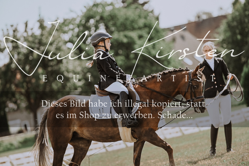 DSC_7610 | Pferde- und Turnierfotografie in Westsachsen. Pferdeportraits, Auftragszeichnungen und intuitive Kunst.