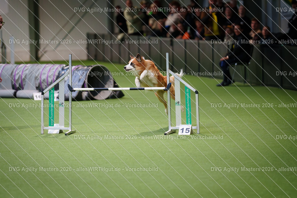 allesWIRTHgut_Tierfotografie-DVG_Agility_Masters_2026-08_12-7R509807 | Professionelle Tierfotografie in Mönchengladbach von Daniel Wirth (allesWIRTHgut). Liebevolle & natürliche Bilder von Hunden & Katzen für unvergessliche Erinnerungen.