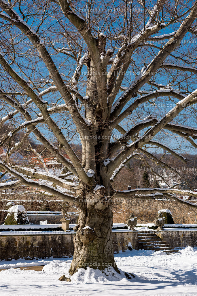 10049-6209 - Barockgarten Blankenburg | Stockfoto und Bilderpool mit Bildmaterial aus Deutschland, dem Harz, Halberstadt, Quedlinburg, Wernigerode und weltweit. Qualitativ hochwertige und professionelle Fotos anschauen und kaufen. - Realisiert mit Pictrs.com