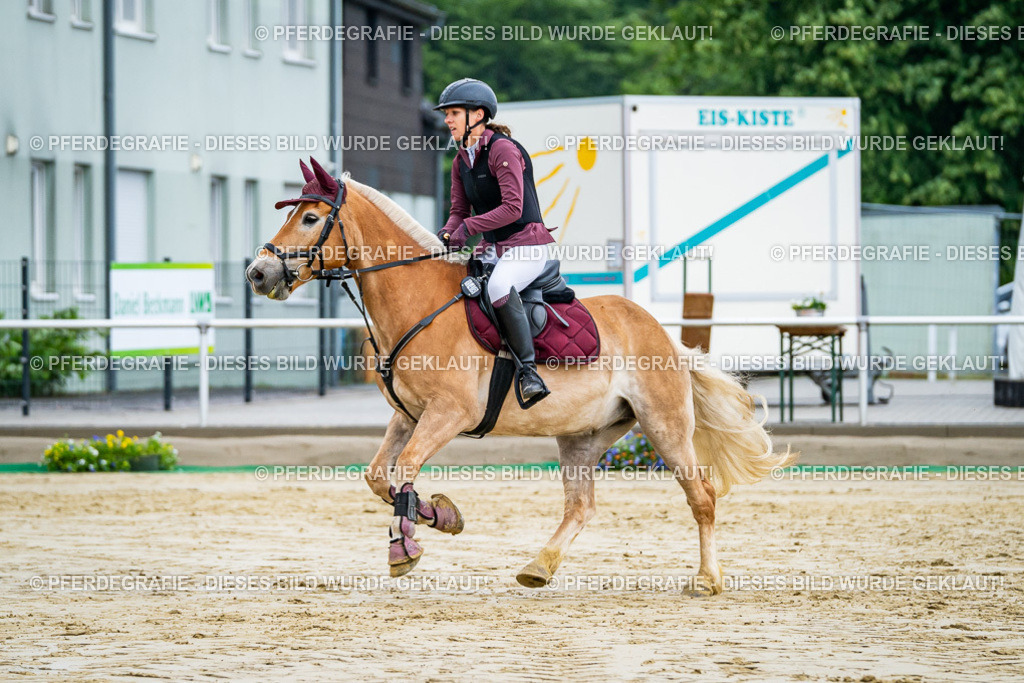 DSC02260 | Pferdegrafie