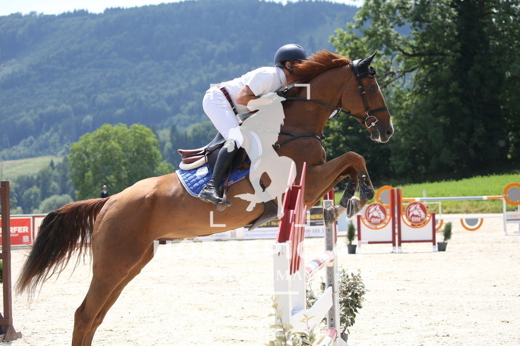 DL2Q0124 | Willkommen bei Brunnmayr - Design & Fotografie – Ihrem Spezialisten für Reitturniere und Pferdeveranstaltungen in Oberösterreich, Salzburg und Bayern! Seit über 17 Jahren sind wir leidenschaftlich dabei.