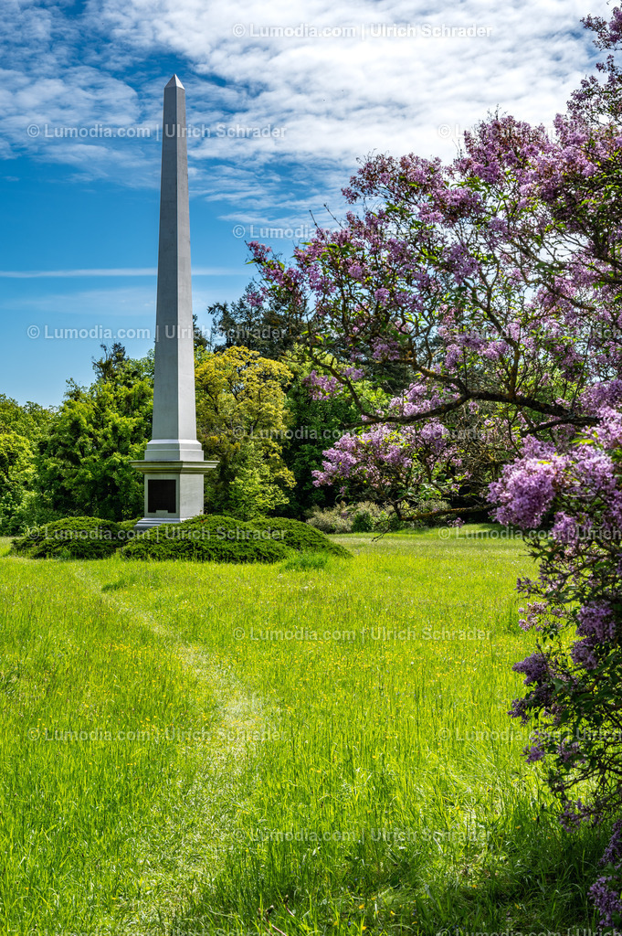 10049-14060 - Landschaftspark Degenershausen | Stockfoto und Bilderpool mit Bildmaterial aus Deutschland, dem Harz, Halberstadt, Quedlinburg, Wernigerode und weltweit. Qualitativ hochwertige und professionelle Fotos anschauen und kaufen. - Realisiert mit Pictrs.com