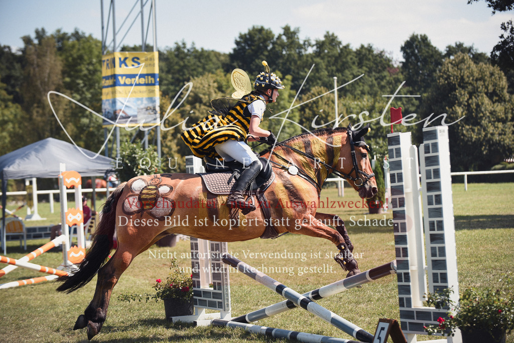 DSC_0292 | Pferde- und Turnierfotografie in Westsachsen. Pferdeportraits, Auftragszeichnungen und intuitive Kunst.
