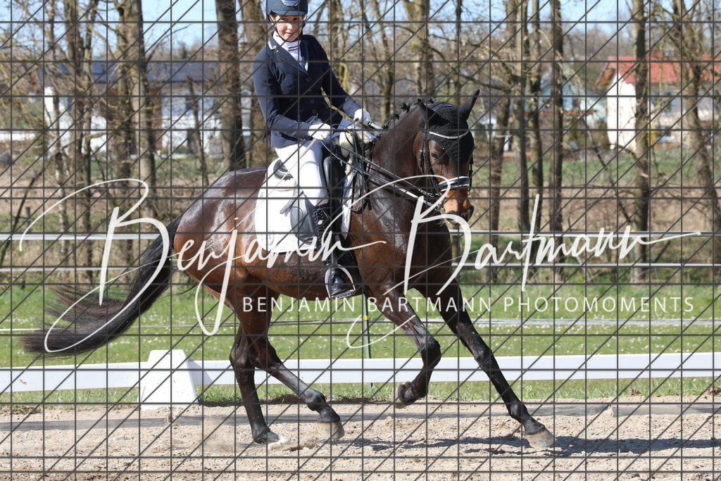 AZ2A5021 | Benjamin Bartmann Photomoments