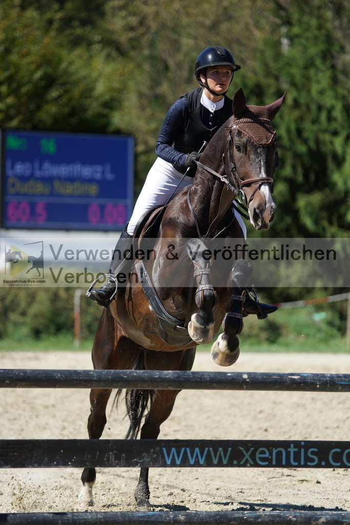 DSC08634 | equestrian-live-com