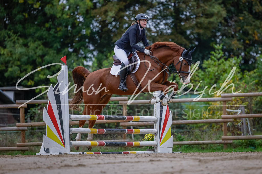 20251012-_3LI3238 | Tierfotografie Pferde, Hunde, Katzen, Haustiere.
Turnierfotografie Reitturniere, Reiten, Springreiten, Dressur in Hanau, dem Main-Kinzig-Kreis und dem Rhein-Main- Gebiet um Frankfurt