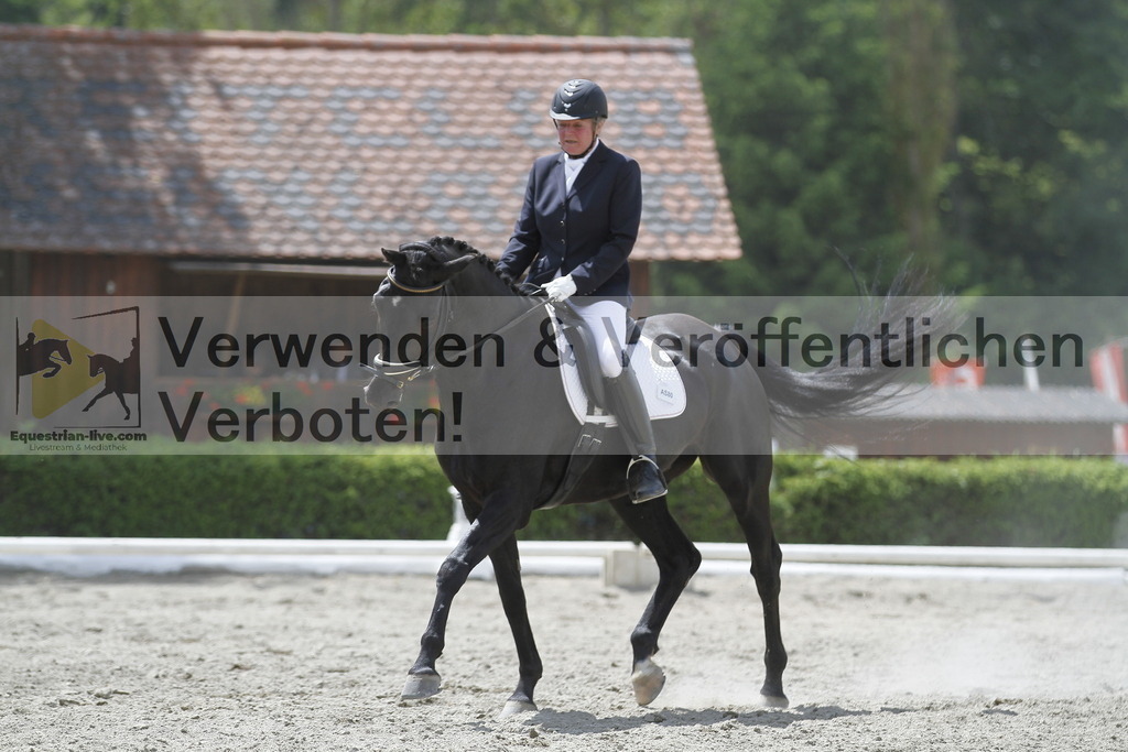 _MG_9894 | equestrian-live-com