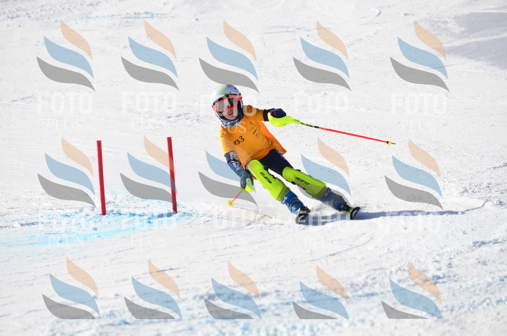 C6461 | holidayphoto