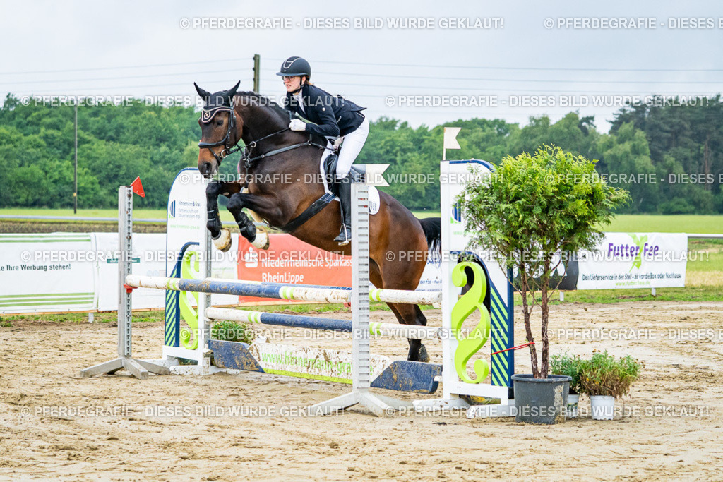 DSC02297 | Pferdegrafie