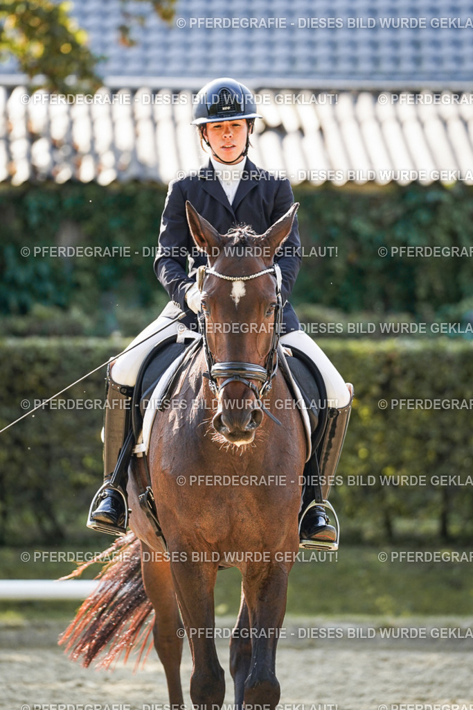 DSC06842 | Pferdegrafie