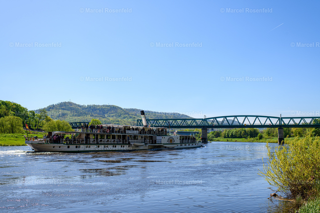 _DSC3744 | foto-rosenfeld