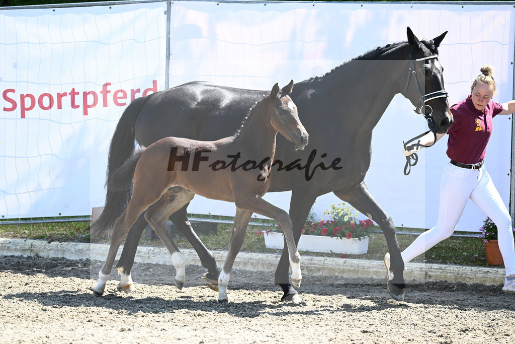 Kat-Nr. 14 HF DSP Feliciano_Pawlowski_12230483 | hf-fotografie - Realizzato con Pictrs.com