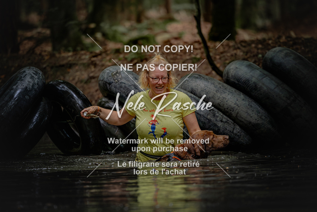 nelerasche_SaWingst1200-1230_216 | nelerasche