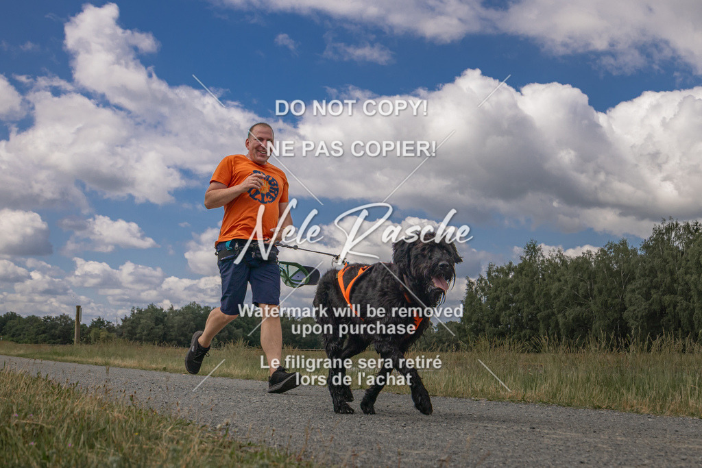 nelerasche_BuHu2026_SaCC1100-1200_51 | nelerasche
