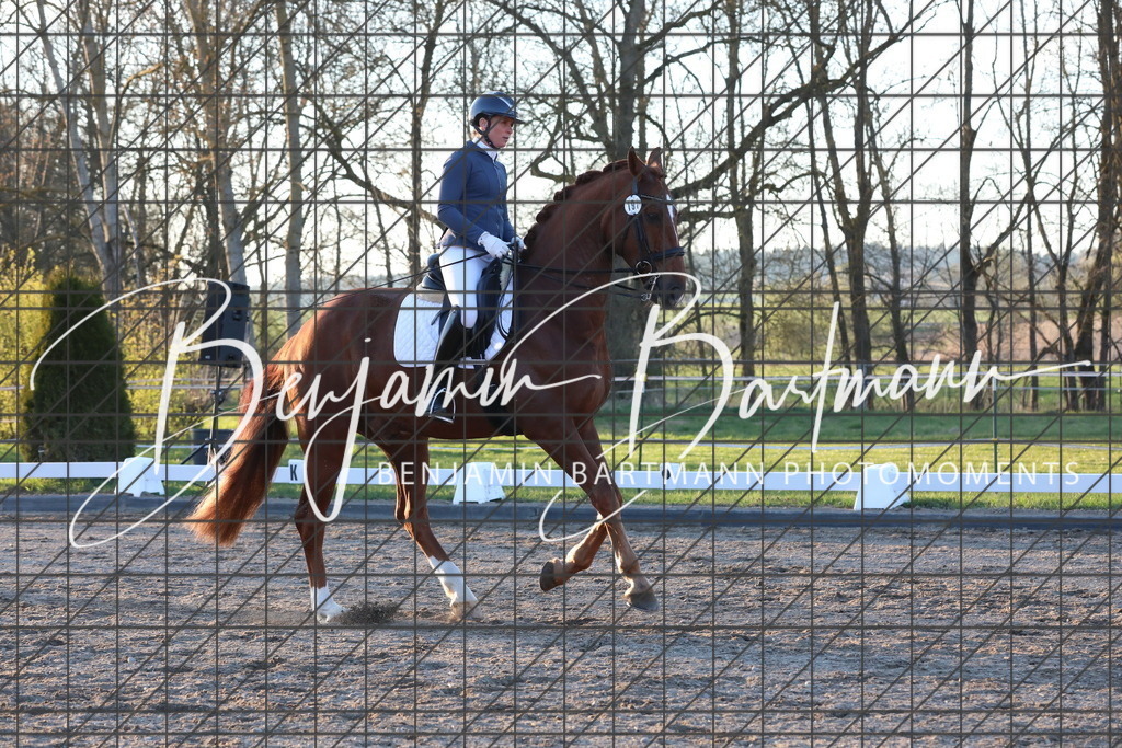 AZ2A7195 | Benjamin Bartmann Photomoments