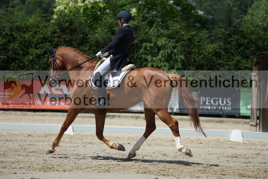 DSC05119 | equestrian-live-com