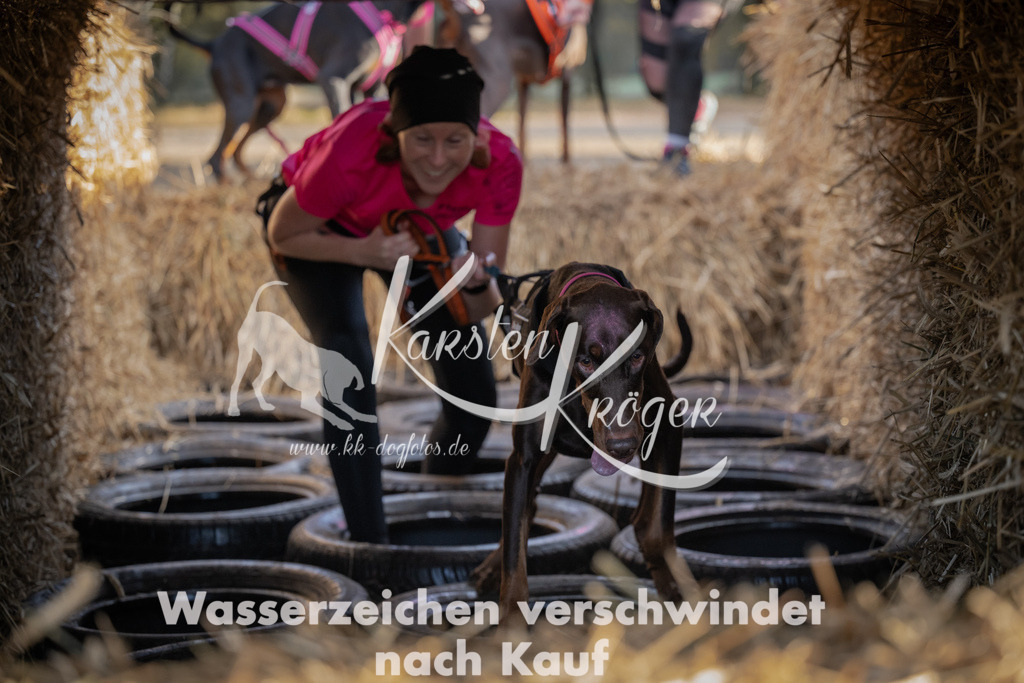 0954_ZZ95329 | kk-dogfotos