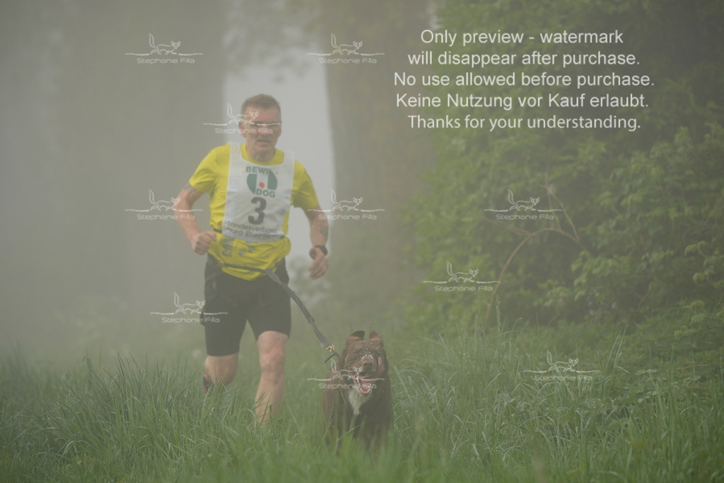 SA_GL2-33 | stephaniefillaphotographie - Realisiert mit Pictrs.com