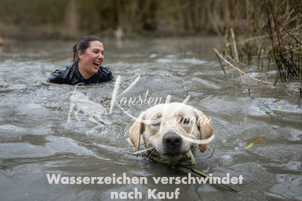 1052_ZZ93064 | kk-dogfotos