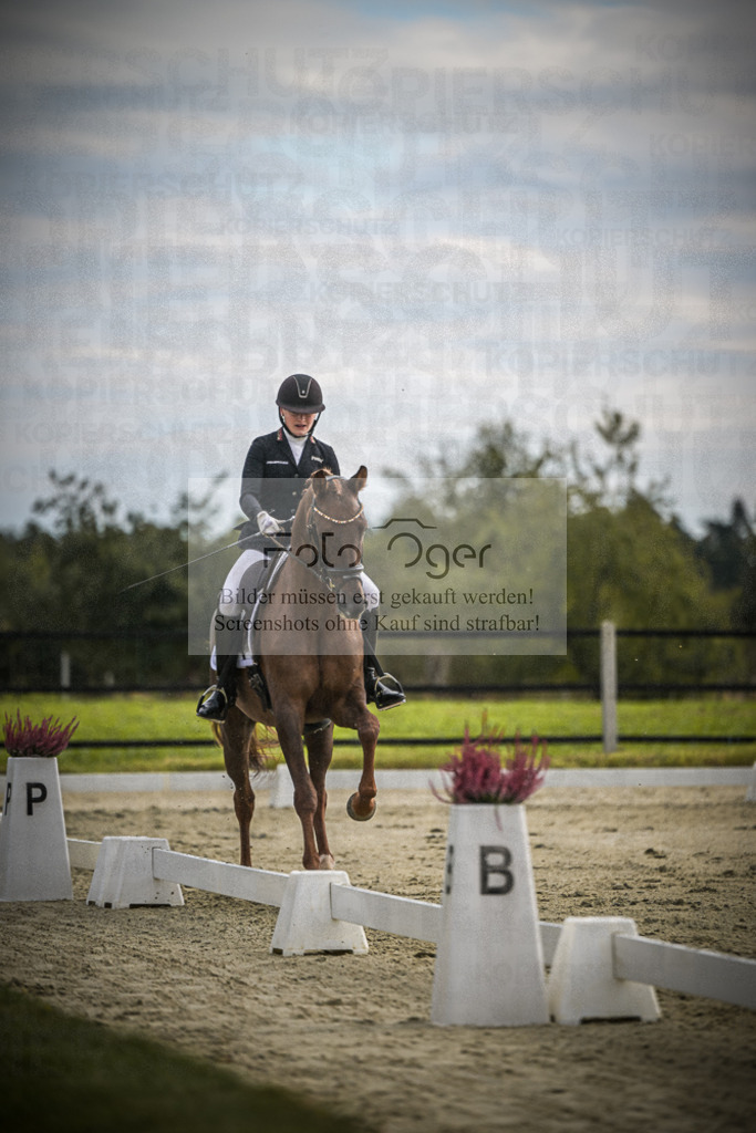 DOS_1848 | Entdecke hochwertige Reitturnierfotos von Foto Oger. Professionell, emotional und authentisch – jetzt Lieblingsmomente im Shop bestellen.Deutschlandweite Turnierfotografie. - Realisiert mit Pictrs.com