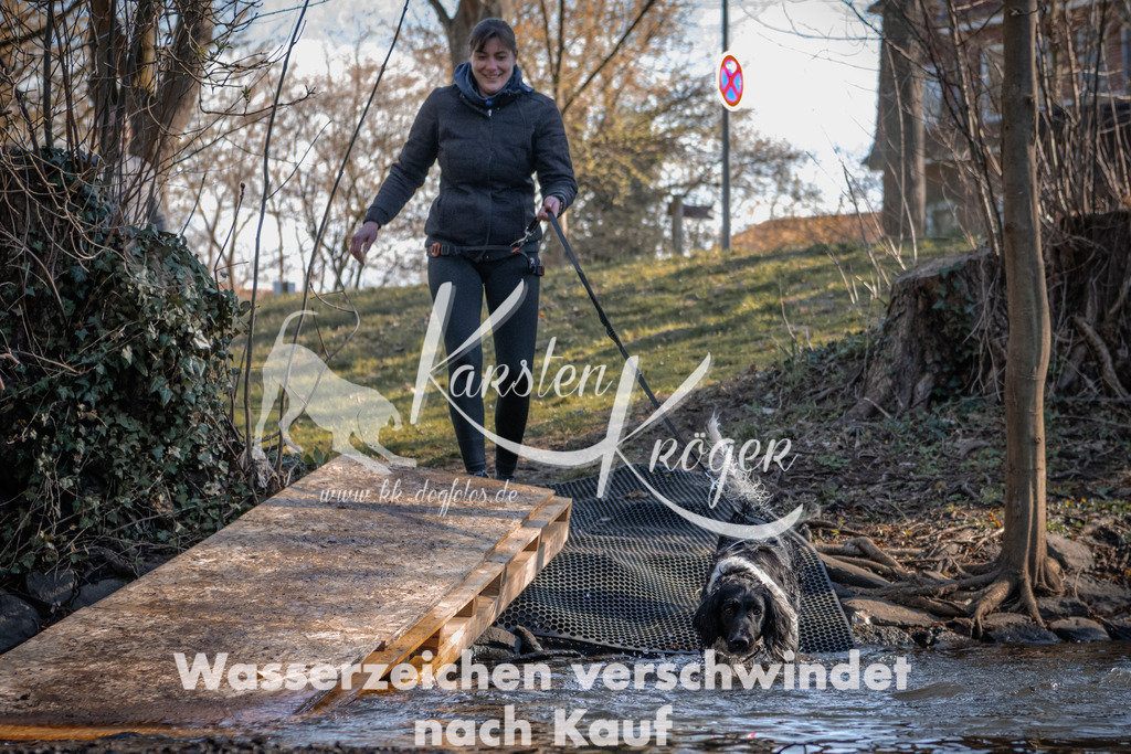 0831_ZZ91921 | kk-dogfotos