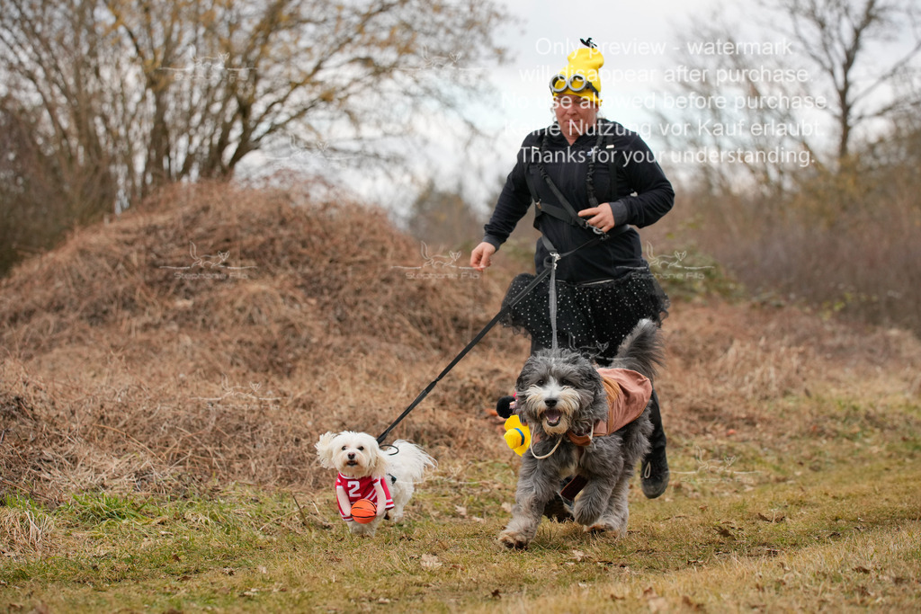 2Fasching-3 | stephaniefillaphotographie - Realisiert mit Pictrs.com