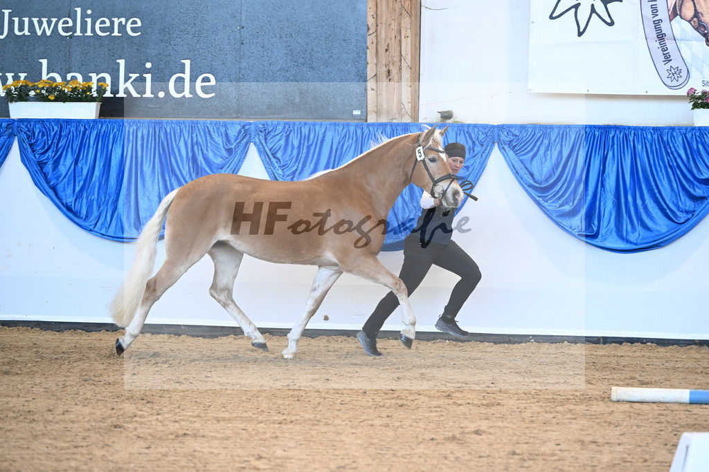 Bl. Band Kat-Nr. 5 Malu v. Bugatti_Schwarz_48241076 | hf-fotografie - Realisiert mit Pictrs.com