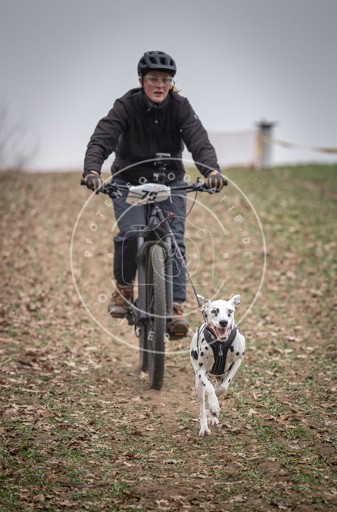 Pfotenfotografie_DV3A1740 | Hundefotografie, Tierfotograf, Pfotenfotografie, Fotoshooting Hund, Hunde Portrait, Hundesport, Hundeportraits, Heideshooting, Hunde, Sportfotograf, Hundefotograf, Turnierhundsport, THS,  - Realisiert mit Pictrs.com