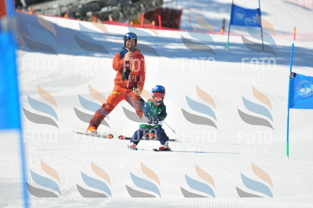 C2651 | holidayphoto