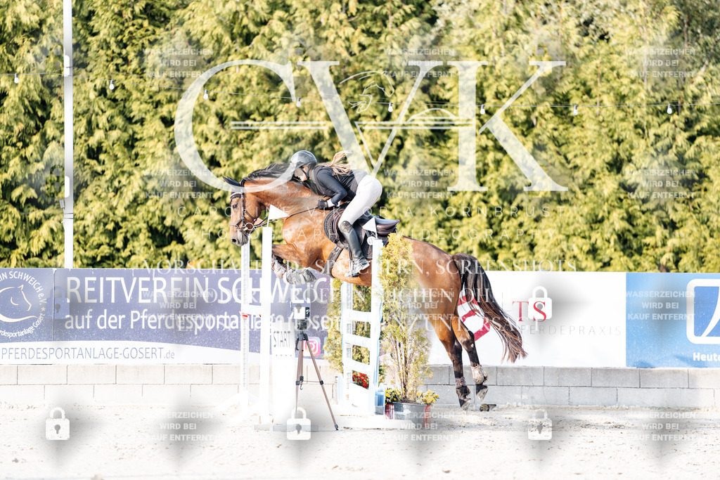 CK903275 | Turnierfotografie Pferdefotografie Trier Rheinland-Pfalz Pferdesport Reitsport Tierfotografie Sportfotografie Pferdevideo Pferdevideografie Equestrianvideography equestrianphotography  - Realisiert mit Pictrs.com