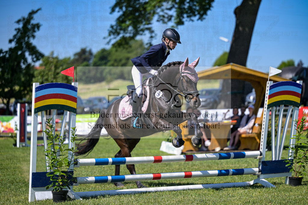 Reitturnier Voxtrup | Entdecke hochwertige Reitturnierfotos von Foto Oger. Professionell, emotional und authentisch – jetzt Lieblingsmomente im Shop bestellen.Deutschlandweite Turnierfotografie. - Realisiert mit Pictrs.com
