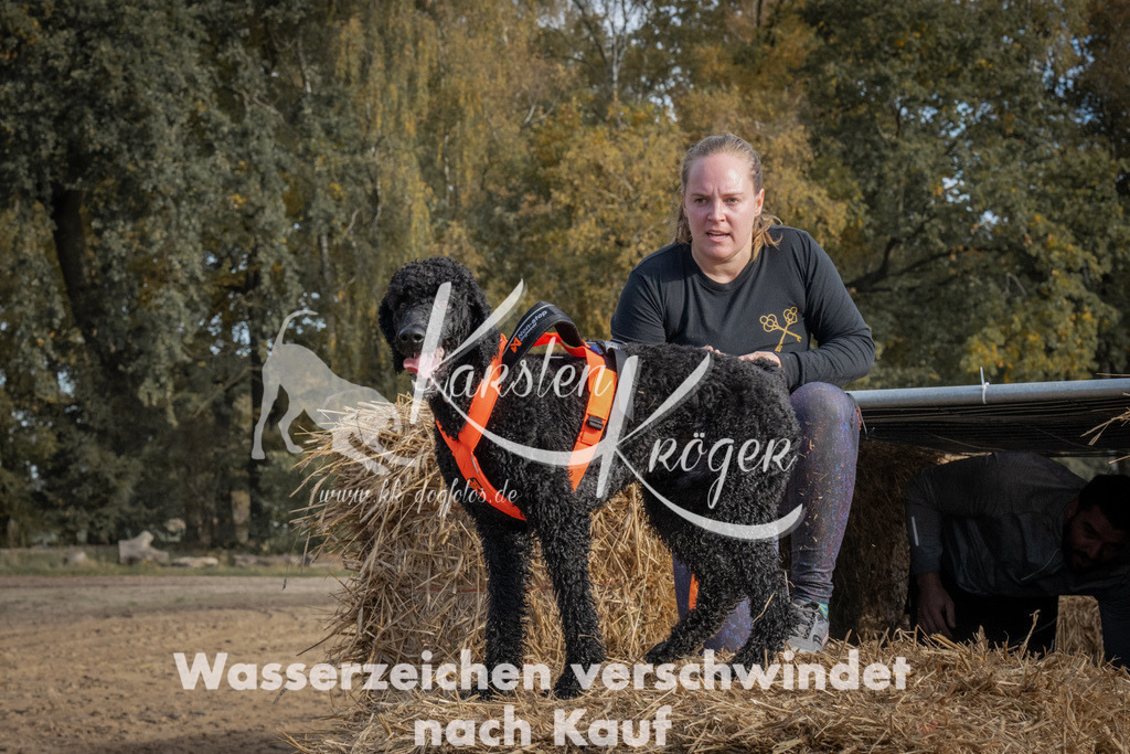 1043_ZZ99108 | kk-dogfotos
