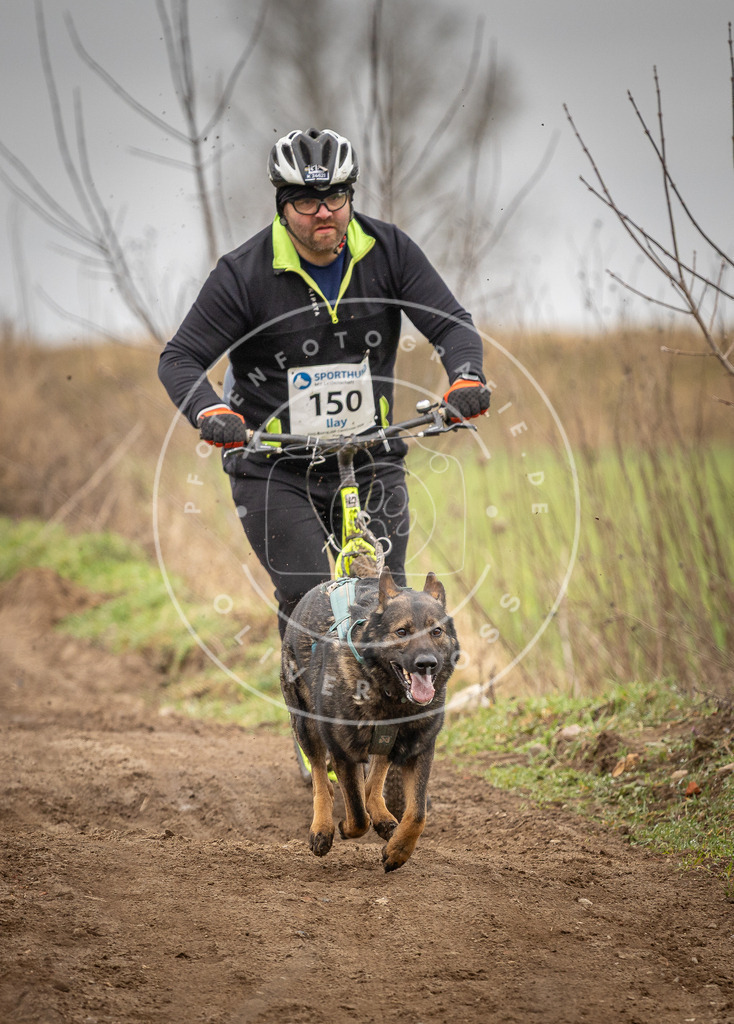 DV3A1515 | Hundefotografie, Tierfotograf, Pfotenfotografie, Fotoshooting Hund, Hunde Portrait, Hundesport, Hundeportraits, Heideshooting, Hunde, Sportfotograf, Hundefotograf, Turnierhundsport, THS,  - Realisiert mit Pictrs.com