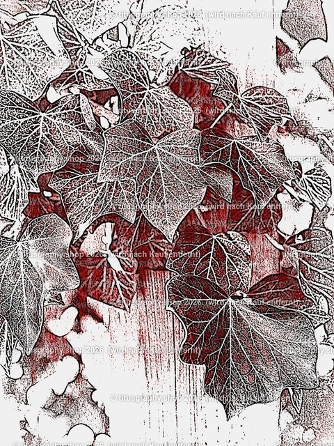 titusgraphy_P4045808-vz-ln_pe_pe-18 | titusgraphy-shop: Geschenkideen mit Qualitätsfotos. titusgraphy-shop: gift ideas with quality photos. titusgraphy-shop: idées cadeaux avec photos de qualité.  - Realisiert mit Pictrs.com